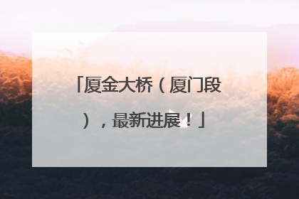 厦金大桥（厦门段），最新进展！
